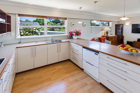 Photo of property in 19 Tregarth Street, Saint Johns Hill, Whanganui, 4501