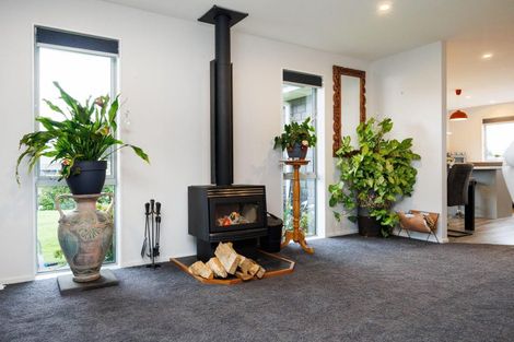 Photo of property in 31 Wapiti Avenue, Feilding, 4775