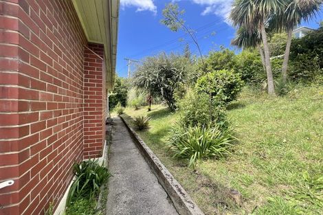 Photo of property in 5 Osborne Terrace, Mornington, Dunedin, 9011