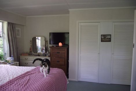 Photo of property in 14 Princes Street, Waihi, 3610