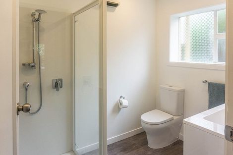 Photo of property in 51 Glendining Avenue, North East Valley, Dunedin, 9010