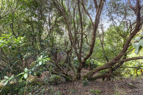 Photo of property in 18a Lily Street, Raglan, 3225