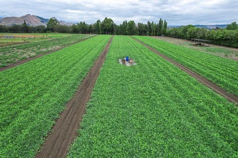 Photo of property in 444 Paton Road, Hope, Richmond, 7081