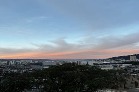 Photo of property in 66 Hankey Street, Mount Cook, Wellington, 6011