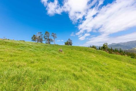 Photo of property in 183 Koutu Loop Road, Whirinaki, 0473