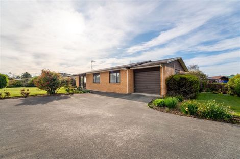 Photo of property in 9 Williamson Place, Geraldine, 7930