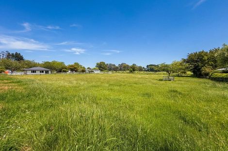 Photo of property in 73/77 Manfield Street, Tokoroa, 3420