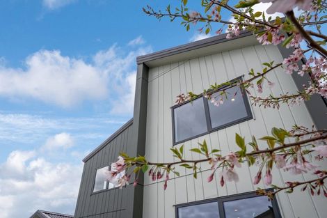 Photo of property in 9 Verde Lane, Rosehill, Papakura, 2113