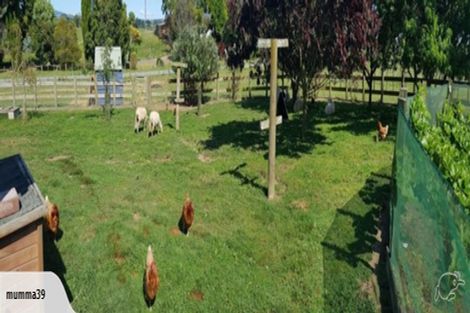 Photo of property in 98 Carmichael Road, Okoroire, Tirau, 3485