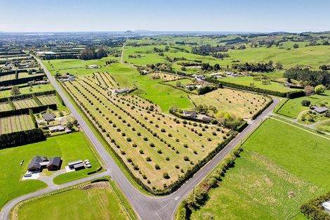 Photo of property in 390 Hereford Road, Oropi, Tauranga, 3173