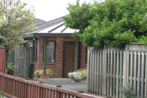 Photo of property in 67a Halifax Street East, The Wood, Nelson, 7010