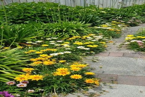 Photo of property in 90 Esmeralda Street, Welcome Bay, Tauranga, 3112