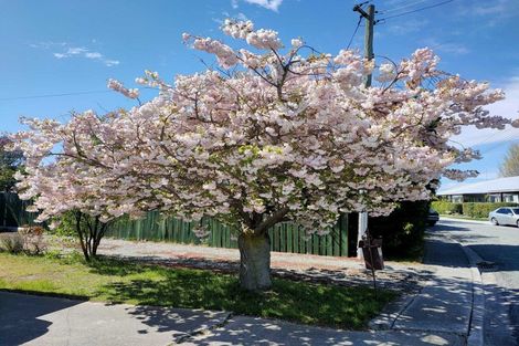 Photo of property in 12 Theyers Street, Alexandra, 9320