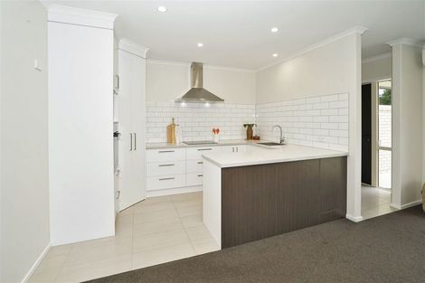 Photo of property in 2 Pryce Place, Silverdale, Hamilton, 3216