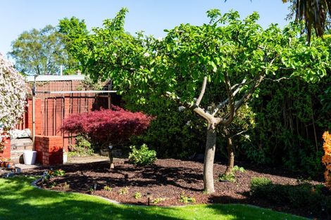 Photo of property in 17c Forfar Street, Mosgiel, 9024