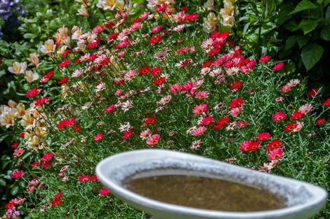 Photo of property in 20 Menin Road, Raumati South, Paraparaumu, 5032