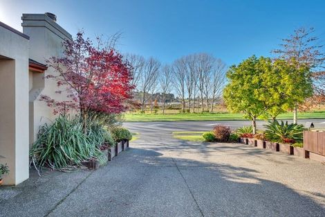 Photo of property in 214 Carmichael Road, Bethlehem, Tauranga, 3110