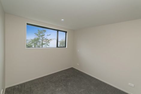 Photo of property in 1/317 Gloucester Street, Christchurch Central, Christchurch, 8011