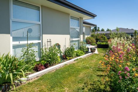 Photo of property in 20 Travers Avenue, Richmond, 7020