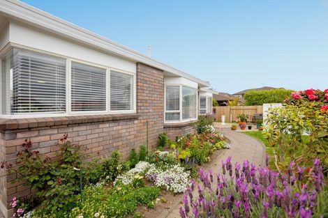 Photo of property in 3a Percival Avenue, Matua, Tauranga, 3110