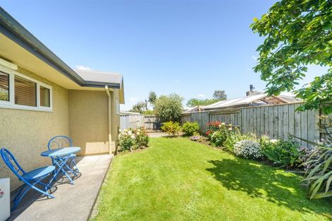 Photo of property in 207 Salisbury Street, Ashhurst, 4810