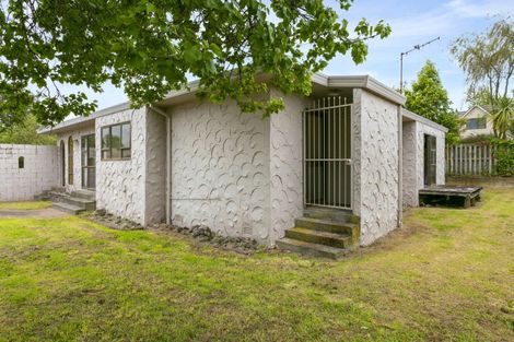 Photo of property in 14b Karamu Street, Taupo, 3330