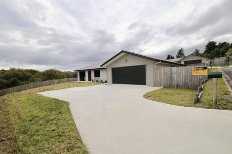 Photo of property in 47a Hartis Avenue, Huntly, 3700