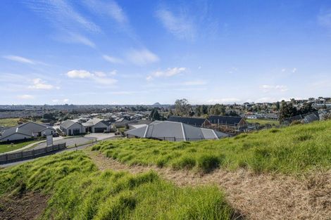 Photo of property in 33 Pinkerton Place, Ohauiti, Tauranga, 3112
