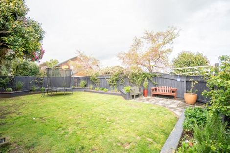 Photo of property in 10 Manson Street, Terrace End, Palmerston North, 4410