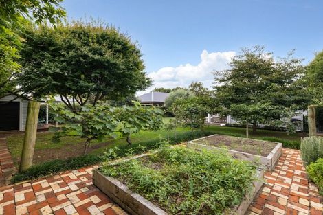 Photo of property in 29 Firth Street, Hamilton East, Hamilton, 3216