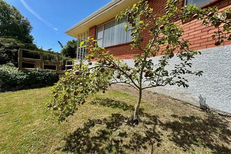 Photo of property in 51b Gormack Street, Balclutha, 9230