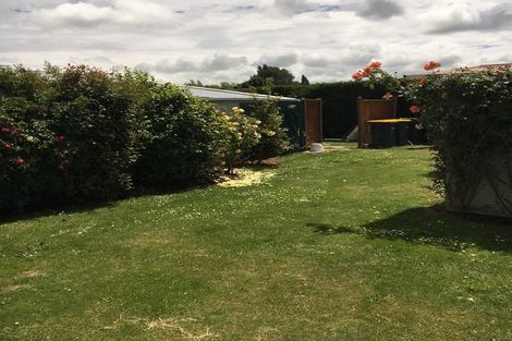 Photo of property in 45 Bruce Avenue, Glenview, Hamilton, 3206