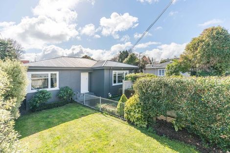 Photo of property in 19 East Street, Terrace End, Palmerston North, 4410