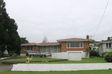 Photo of property in 10 Wood Street, Paeroa, 3600