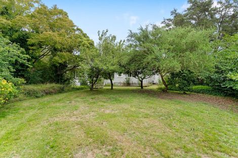 Photo of property in 61 Hillcrest Street, Solway, Masterton, 5810