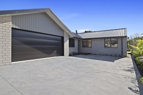 Photo of property in 21b Sycamore Grove, Lower Vogeltown, New Plymouth, 4310