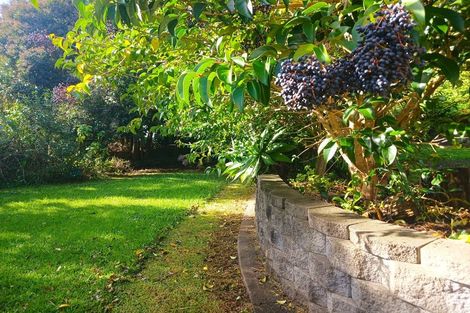 Photo of property in 16 Bank Street, Kaitaia, 0410