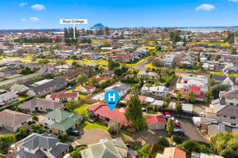 Photo of property in 161a Fraser Street, Tauranga South, Tauranga, 3112