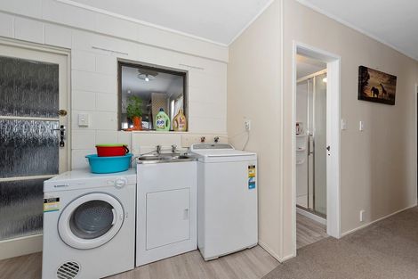 Photo of property in 19 Ridout Street, Maeroa, Hamilton, 3200