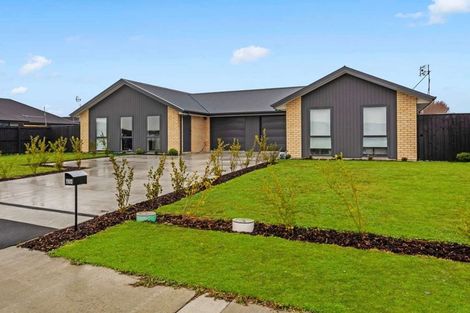 Photo of property in 41 Waikirikiri Avenue, Lincoln, 7608