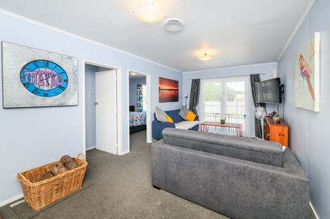 Photo of property in 52 Bamfield Street, Ashhurst, 4810