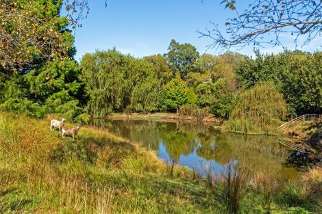 Photo of property in 224 Valley Road, Mangapapa, Gisborne, 4010