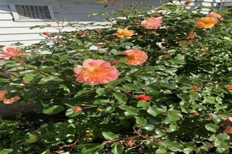 Photo of property in 22 Queens Drive, Kilbirnie, Wellington, 6022