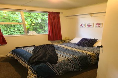 Photo of property in 29 Hopkins Road, Twizel, 7901