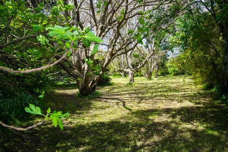 Photo of property in 22 Hill Road, Ormond, Gisborne, 4071