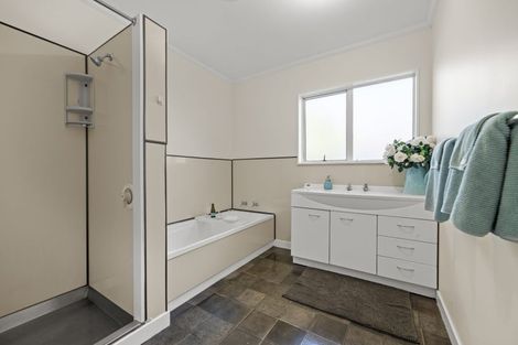 Photo of property in 10a Ihle Street, Terrace End, Palmerston North, 4410