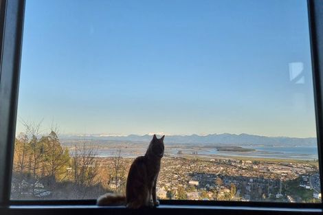 Photo of property in 31 Citrus Lane, Enner Glynn, Nelson, 7011