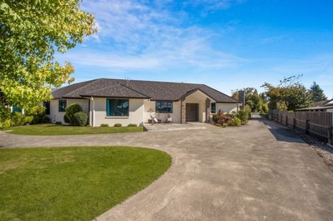 Photo of property in 529 Ross Street, Pirongia, 3802