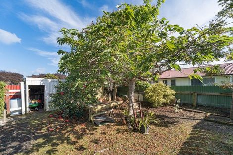 Photo of property in 7 Lambert Street, Marton, 4710