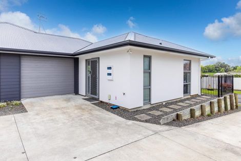 Photo of property in 1/4 Ross View Terrace, Dinsdale, Hamilton, 3204